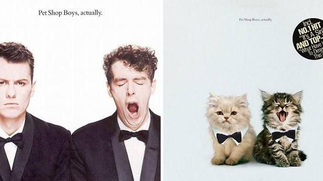6 Editan Kucing Parodikan Cover Album Musik Ini Bikin Gemas