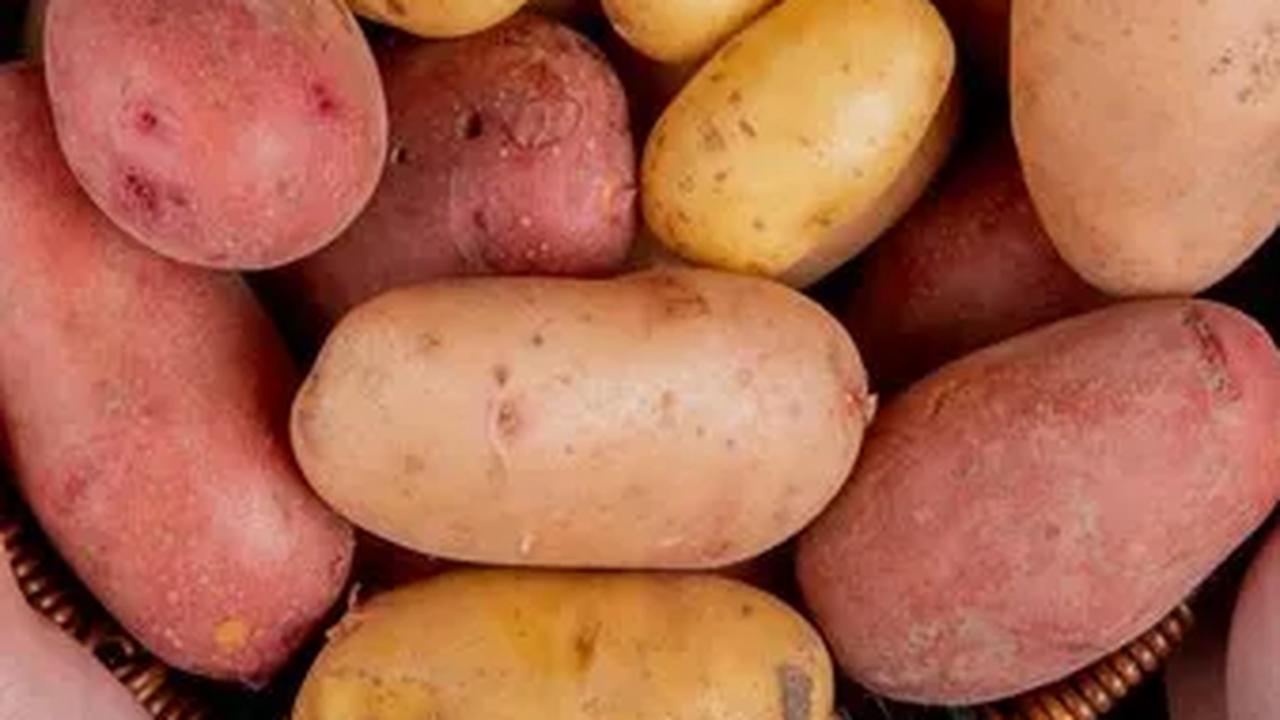Antara Kentang dan Ubi Jalar: Pilihan untuk Diet Sehat