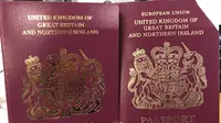 Susan Hindle Barone memperlihatkan paspor berwarna burgundy yang ia terima pada Jumat, 5 April 2019 (Twitter.com/SpinHBarone)