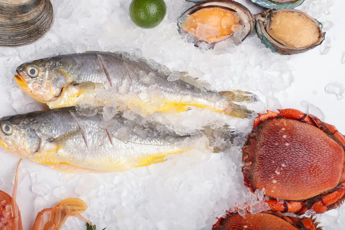 Tips Mencairkan Makanan Beku dalam Waktu Singkat dengan Trik Sederhana