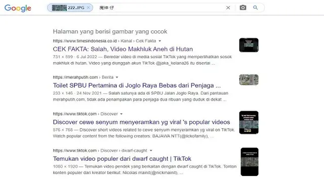 Gambar Tangkapan Layar Penelusuran Foto Menggunakan Google Images.