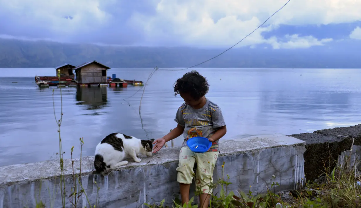 Seorang anak memberi makan seekor kucing di sebelah danau Laut Tawar di Takengon, provinsi Aceh tengah, (1/3). Suku Gayo menyebut danau ini dengan sebutan Danau Lut Tawar. (AFP Photo/Chaideer Mahyuddin)