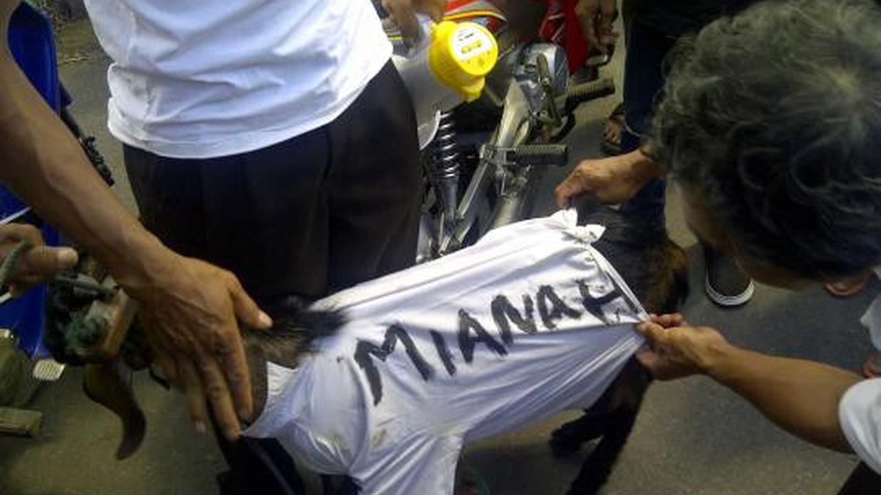Ratusan warga bawa keranda mayat dan kambing ke PN Mungkid