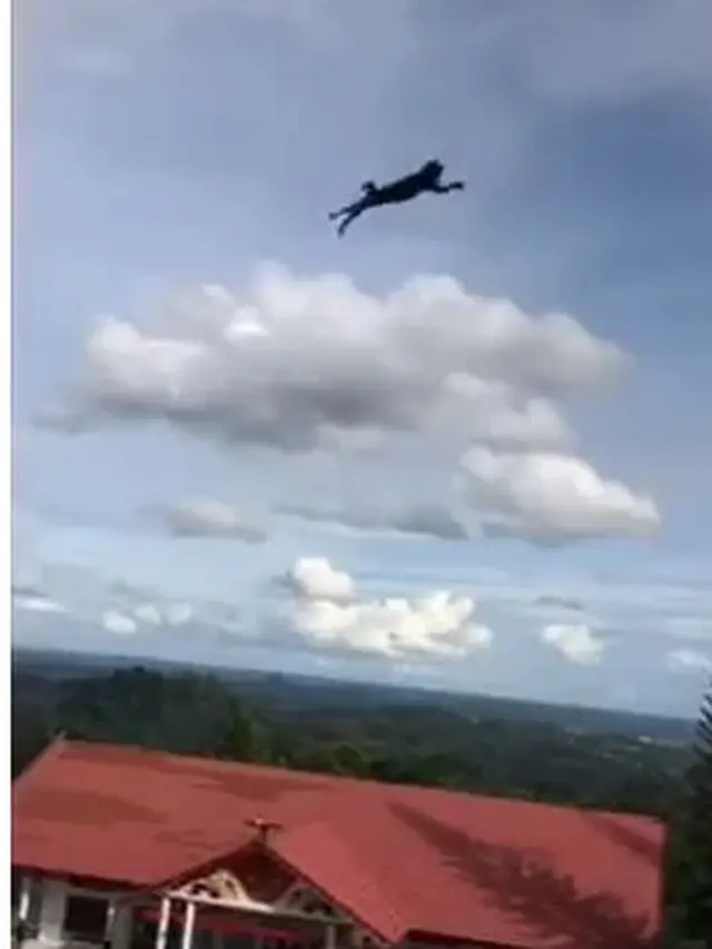 Demi Konten, Viral Pemuda Tega Lempar Kucing dari Puncak Bukit
