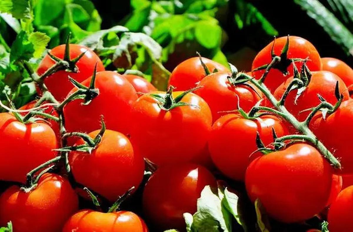 Cara Awet Muda dengan Bahan Dapur yang Ampuh Merawat Kulit