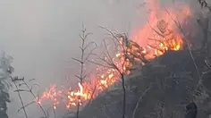 Gunung Bromo Kebakaran, Akses Wisata Ditutup