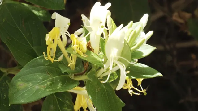 Copyright by Thinkstock.com