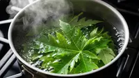 Cara Menghilangkan Rasa Pahit Daun Pepaya