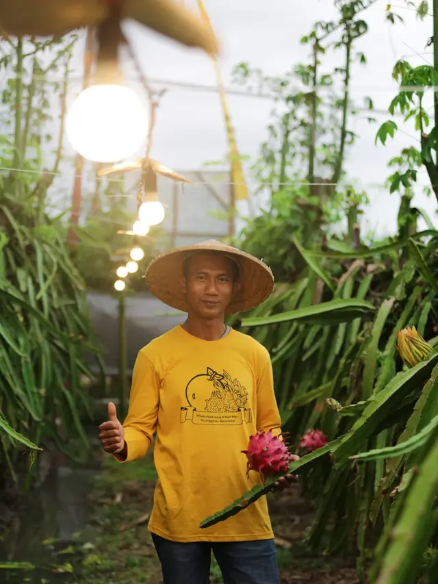 Kelompok Petani Buah Naga (Panaba) Banyuwangi menjadi salah satu kelompok petani yang merasakan manfaat program Electrifying Agriculture dari PT PLN (Persero).