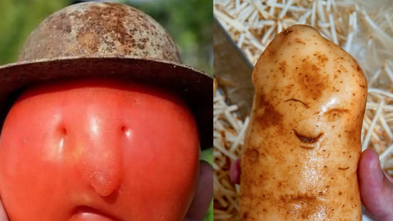 Bikin Takjub, 10 Potret Sayur dan Buah Membentuk Wajah yang Lucu