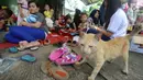 Peserta saat mengikuti lomba kucing mirip Bobby The Cat milik capres Prabowo Subianto di DPP Partai Gerindra, Jakarta, Sabtu (9/3). Bobby The Cat sendiri tak dihadirkan dalam acara ini. (Liputan6.com/Herman Zakharia)
