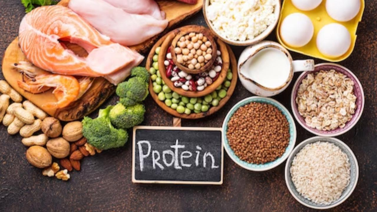Protein sebagai Pondasi Utama Pembentukan Tulang
