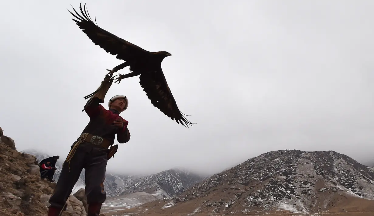 Seorang pemburu elang melepaskan burungnya, elang emas, saat festival berburu "Salburun" di desa Tuura-Suu, sekitar 280 km dari Bishkek, Kyrgyzstan, Selasa (23/2/2021). Salburun berasal dari tradisi nomaden berburu dan melindungi penggembala dari predator seperti serigala. (VYACHESLAV OSELEDKO/AFP)