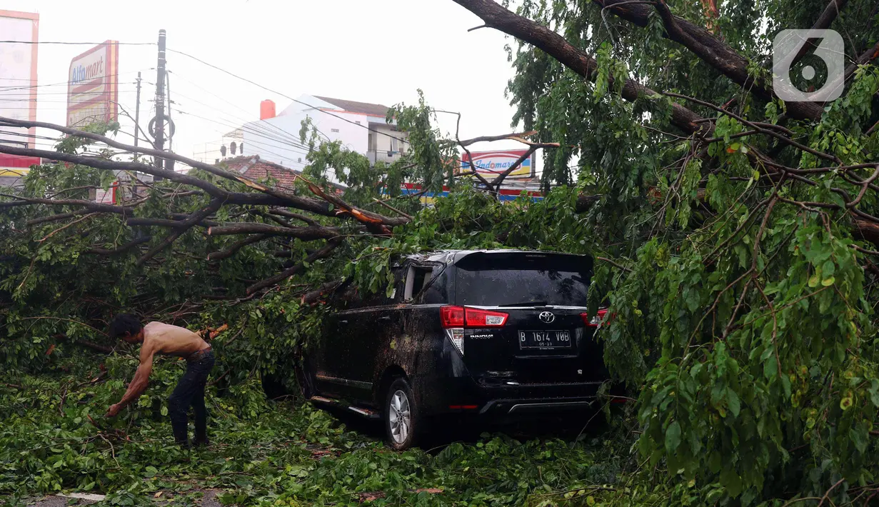 Seorang pria membersihkan dahan pohon tumbang yang menimpa mobil di Kota Tangerang, Banten, Kamis (23/12/2021). Puluhan pohon dan gapura tumbang akibat terjangan angin kencang saat hujan lebat melanda Kota Tangerang. (Liputan6.com/Angga Yuniar)