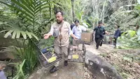 Terungkap, Modus Penyelundupan 807 Burung di Bakauheni