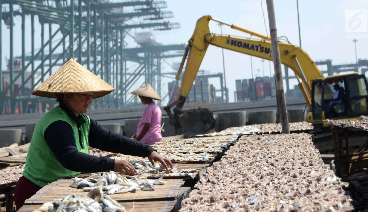 Pemandangan saat para pekerja menjemur ikan asin di kawasan Cilincing, Jakarta Utara, Rabu (9/5). Produksi ikan asin di kawasan tersebut untuk memenuhi kebutuhan di wilayah Jabodetabek. (Liputan6.com/Angga Yuniar)