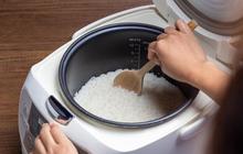 Cara Membersihkan Sisa Nasi yang Mengering di Rice Cooker, Higienis dan Awet