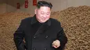 Pemimpin Korea Utara Kim Jong-Un melihat sebuah kentang saat mengunjungi pabrik produksi Samjiyon Potato Farina di Samjiyon County (30/10). (Photo by KCNA VIA KNS / KCNA VIA KNS / AFP)