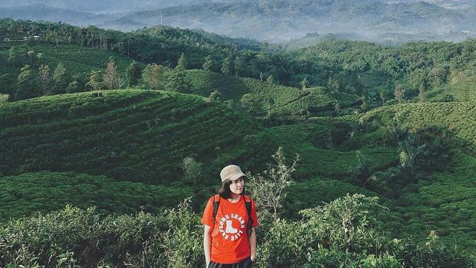 Bukit Kecapi, Cantiknya Panorama Kebun Teh di Tasikmalaya ...