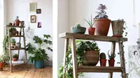 Ada banyak cara kreatif dalam mendekorasi rumah dengan tanaman hidup.