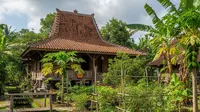 9 Ide Kebun dengan Saluran Air Hujan, Maksimalkan Ruang Hijau Tanpa Risiko Genangan