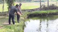 Detik-Detik Bocah 8 Tahun di Lampung Tewas Tenggelam di Kolam Ikan, Sempat Teriak Minta Tolong