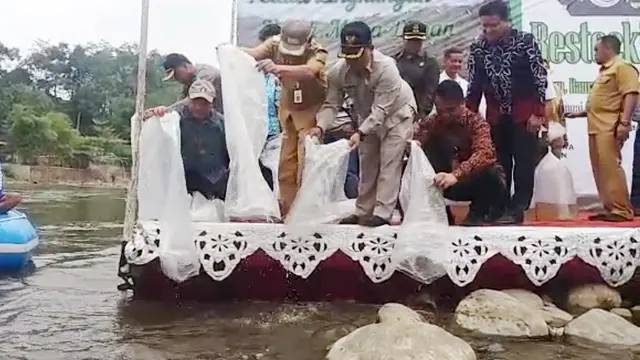 Direktur Jenderal Perikanan Budidaya KKP, Slamet Soebjakto dan Bupati Banjarnegara, Budhi Sarwono menebar sebanyak 203 ribu benih ikan dan udang di Sungai Serayu, Pikas, Banjarnegara. (Foto: Liputan6.com/Khoerul/Muhamad Ridlo)
