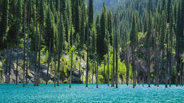 Kaindy Lake, Kazakhstan
