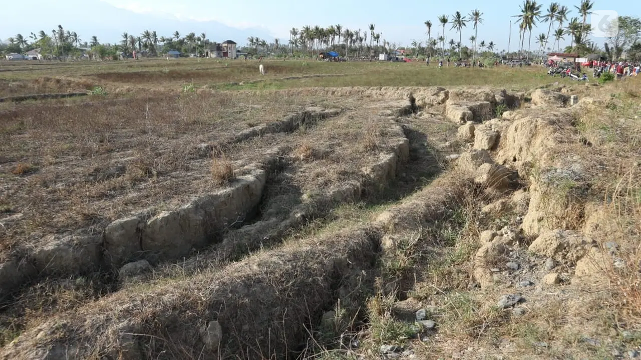 palu survivor