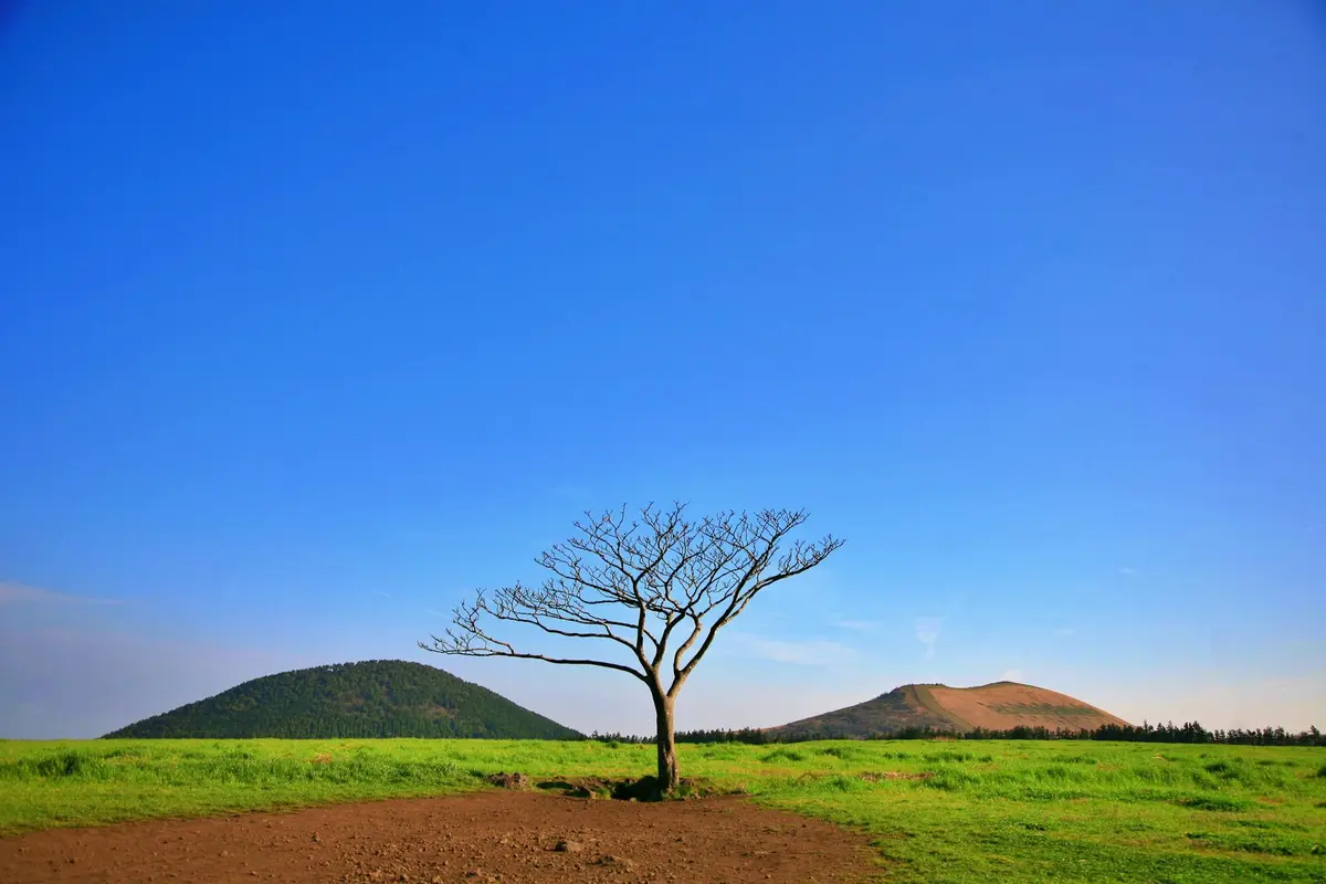 Jeju Island