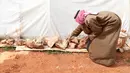 Abderrazaq Khatoun (83) menempatkan batu untuk melindungi salah satu tendanya dari angin di desa Harbanoush, di Idlib, Suriah pada 11 Maret 2021. Perang Suriah yang merampas 13 anak Khatoun dan salah satu istrinya, membuat kakek itu membesarkan 11 cucu yatim piatu sendirian. (Ahmad al-ATRASH/AFP)