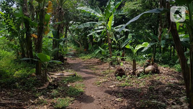 Tampak lahan di RT 05/RW 05 Kelurahan Pondok Ranggon yang dikabarkan jadi lokasi pembangunan DP Rp 0, Jakarta Timur, Rabu (10/3/2021). KPK sedang menyelidiki Program Rumah DP 0 Rupiah yang berada di Munjul, Kelurahan Pondok Ranggon, Kecamatan Cipayung, Jakarta Timur. (Liputan6.com/Herman Zakharia)