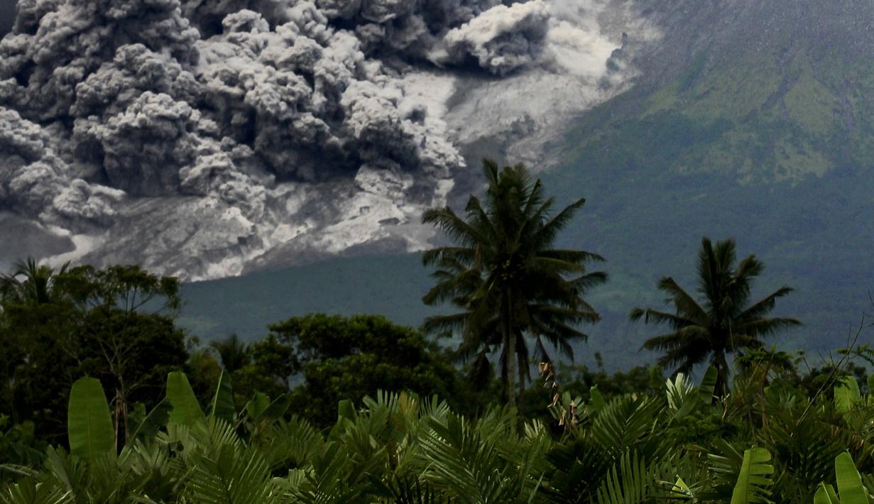 <p>Asap tebal mengepul saat erupsi Gunung Merapi terlihat dari desa Tunggularum di Sleman pada 11 Maret 2023.Selama periode itu, Gunung Merapi juga tercatat mengalami sembilan kali gempa guguran, satu kali gempa fase banyak, dan 19 kali gempa vulkanik dalam, demikian Agus Budi Santoso. (AFP/Devi Rahman)</p>