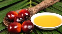 minyak kelapa sawit memiliki kandungan lemak, beta-karoten, vitamin E dan antioksidan. 