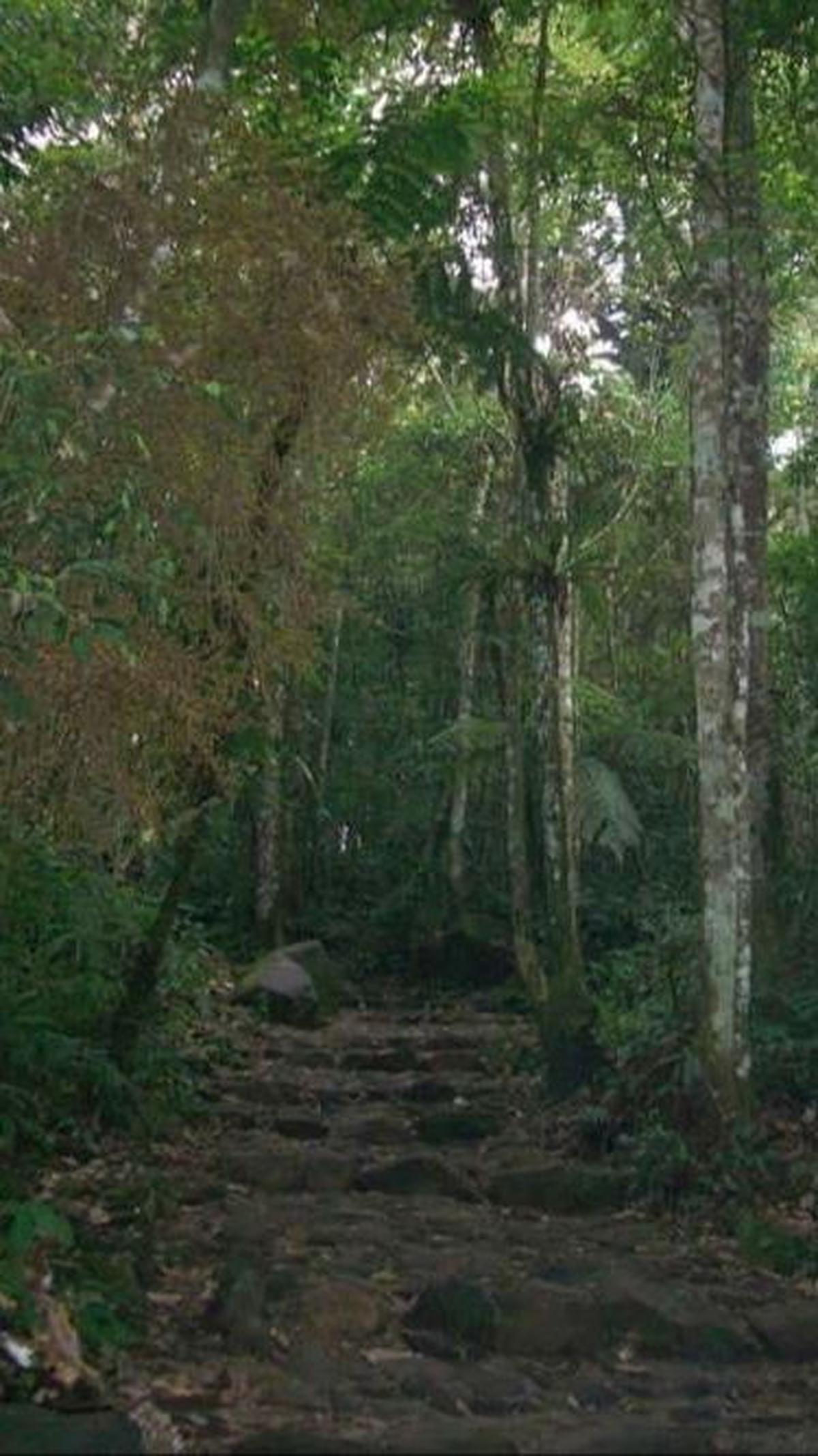 2. Misteri Simpang Maleber <br>