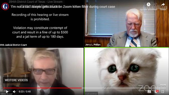Pengacara Tak Bisa Matikan Filter Kucing di Zoom saat Lakukan Video Konferensi dengan Hakim. Kredit: The Guardian
