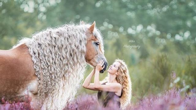 kuda rapunzel (foto: Instagram/@haflinger_storm_naomi)