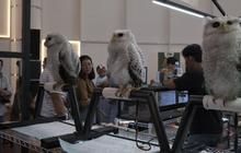 Summarecon Mall Bekasi Gelar Planimals Exhibition dan Zoonimals, Bawa Mini Kebun Binatang di Dalam Mall