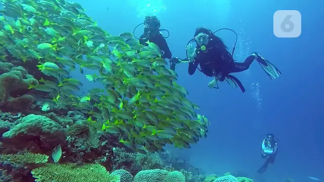 Mios Kun Raja Ampat