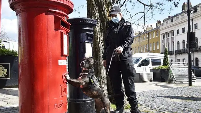 Polisi Thames Valley telah mengerahkan petugas dan anjing untuk melakukan pemeriksaan di seluruh kota menjelang pemakaman Pangeran Philip (THAMES VALLEY POLICE)