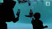 Seorang anak melihat pinguin di Taman Safari Indonesia (TSI) di Cisarua, Bogor, Kamis (20/5/2021). Walaupun libur lebaran sudah berakhir wiasatawan masih memadati kawasan TSI Bogor dengan menerapkan protokol kesehatan dan membatasi pengunjung hingga 50 persen.
(merdeka.com/ Arie Basuki)