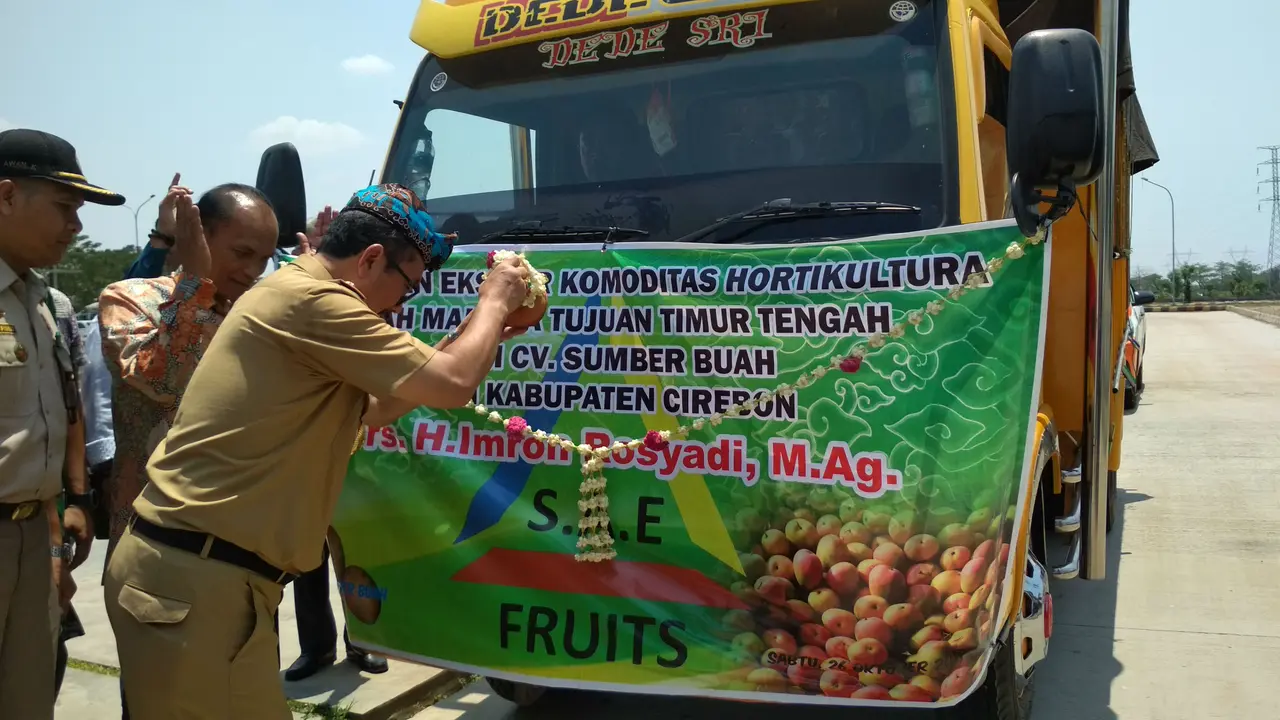Mimpi Kabupaten Cirebon Ekspor Mangga Gedong Gincu ke Jepang