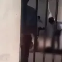 Viral Video Pria Diduga Dicambuk di KPPG Bogor