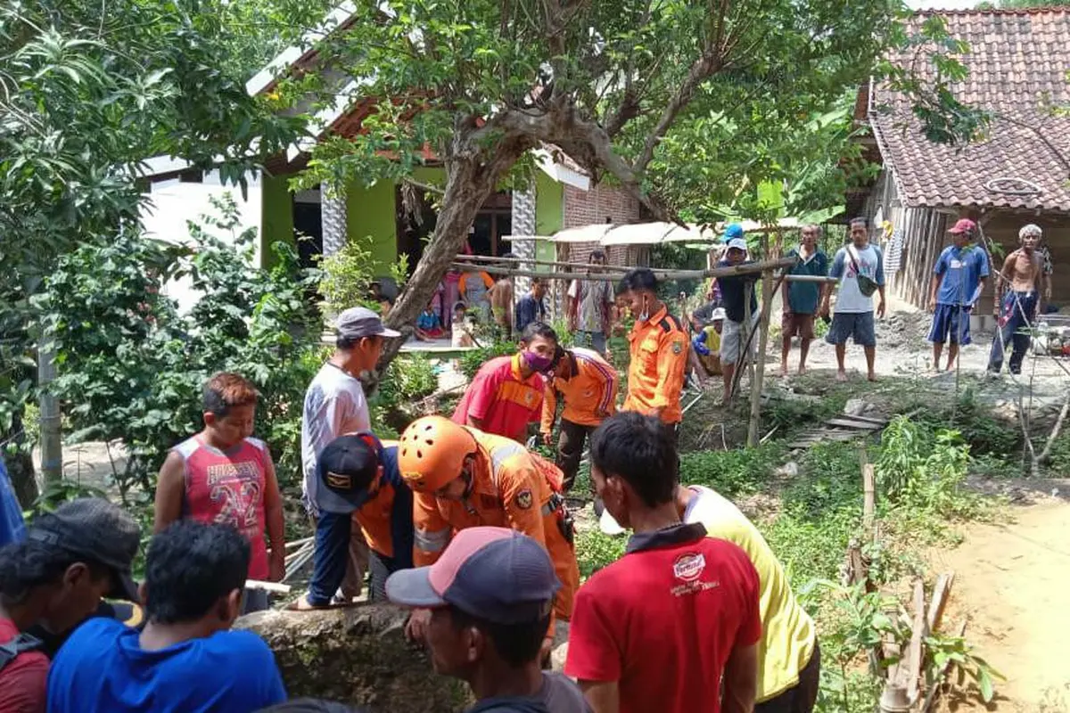 Sapi masuk Sumur