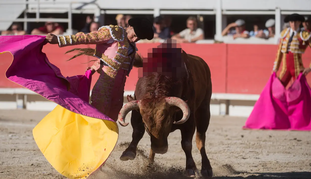 Aksi matador asal Spanyol, Ivan Fandino Aranda saat The Easter Feria di Arles, Perancis, Senin (18/4). The Easter Feria tahun ini berlangsung selama empat hari mulai dari 14 April hingga 17 April. (AFP PHOTO / BERTRAND LANGLOIS)