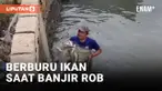 Tambak Ikan Jebol Akibat Banjir Rob, Warga Sidoarjo Langsung Berburu