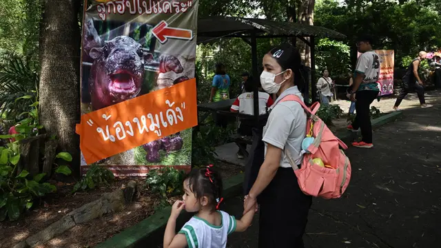 Antusiasme Pengunjung Kebun Binatang Khao Kheow Lihat Moo Deng, Bayi Kuda Nil yang Viral