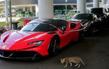 Mobil Sport yang Disita Kejagung Kasus Ketua PN Jaksel, 'Horse Power' dan Harganya Bikin Geleng-Geleng Kepala