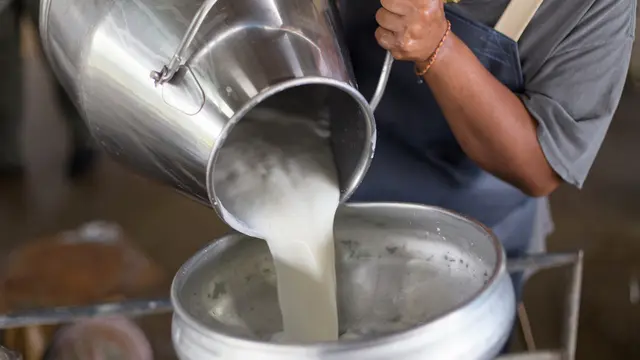 Susu Kental Manis Bukan Susu? Yuk, Bongkar Faktanya!