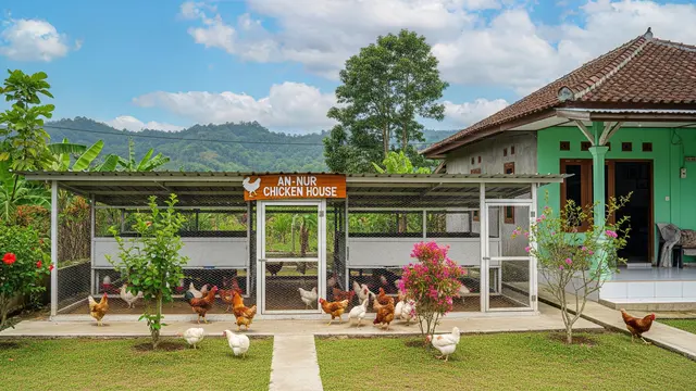 An-Nur Chicken House Punya Arti Cahaya dalam Usaha